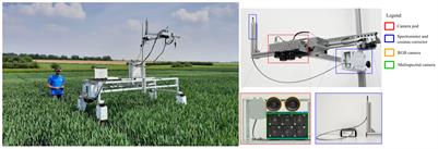 Comparing CNNs and PLSr for estimating wheat organs biophysical variables using proximal sensing